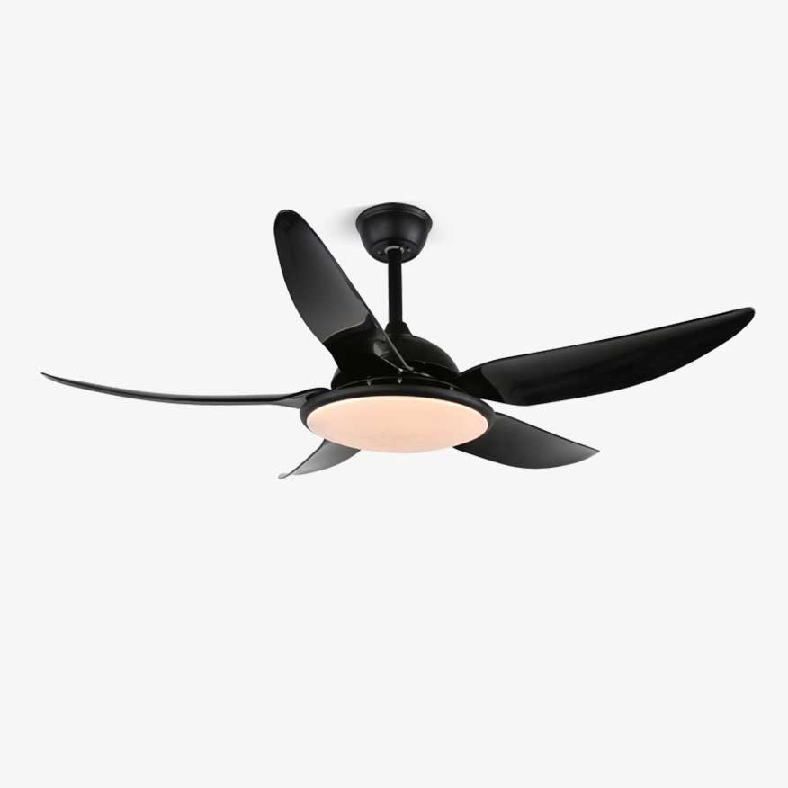 Noctura Ceiling Fan Light