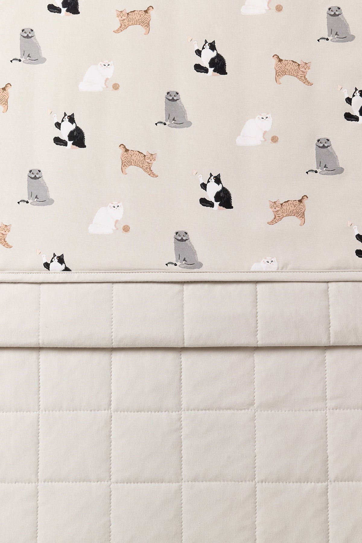Throw Blanket in Fluffy Cat 1.0