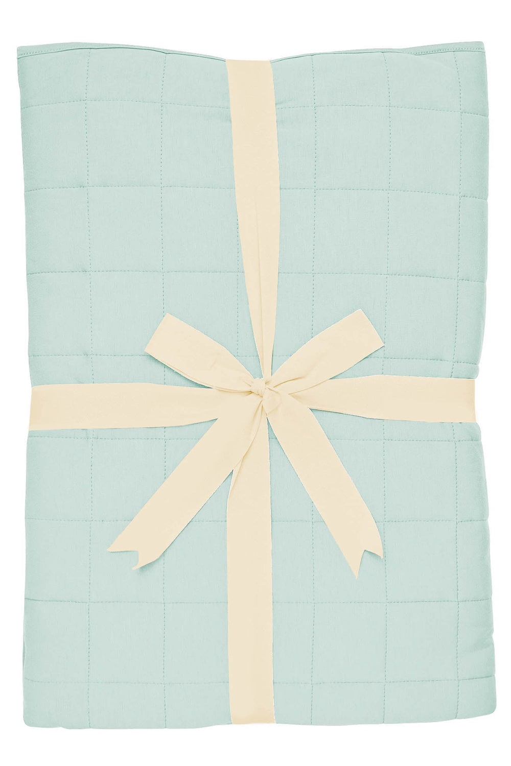 Throw Blanket in Sage 1.0