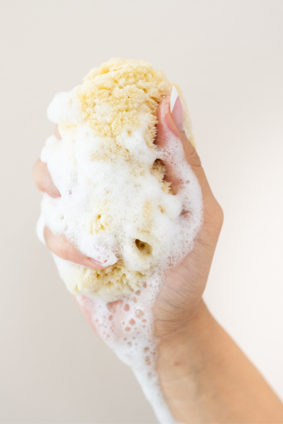 Sea Sponge