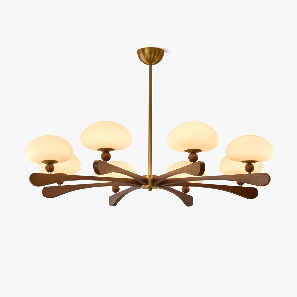 Evander Ray Chandelier