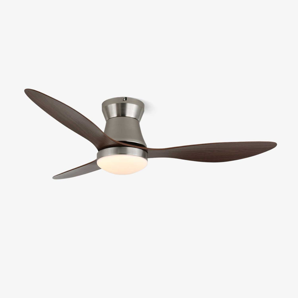 Aeronix Ceiling Fan Light