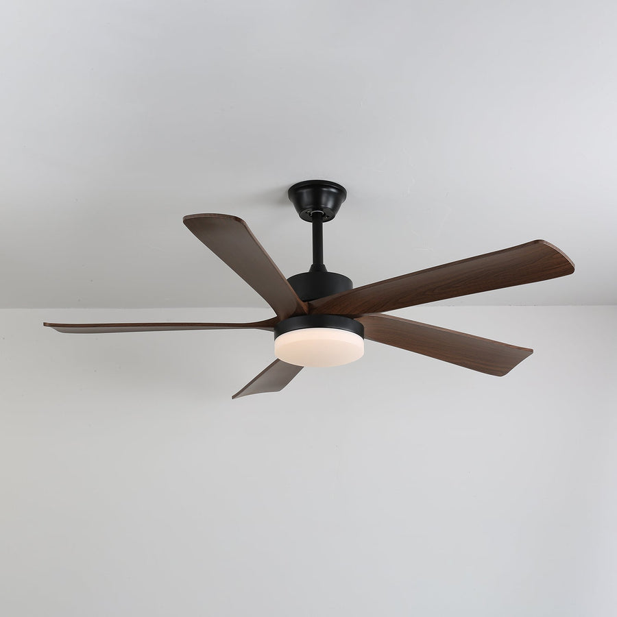 Auralin Breeze Ceiling Fan Light