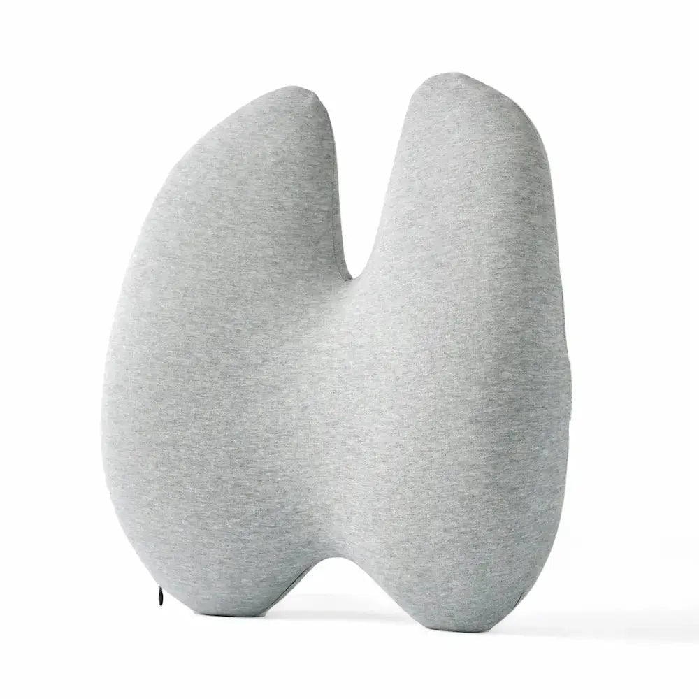 Sleepwyn Lumbar Pillow Chair