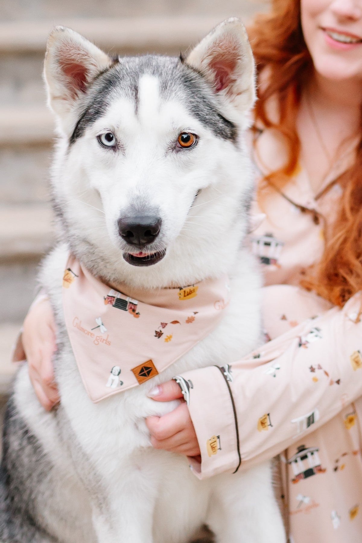 Dog Bandana in Gilmore Girls