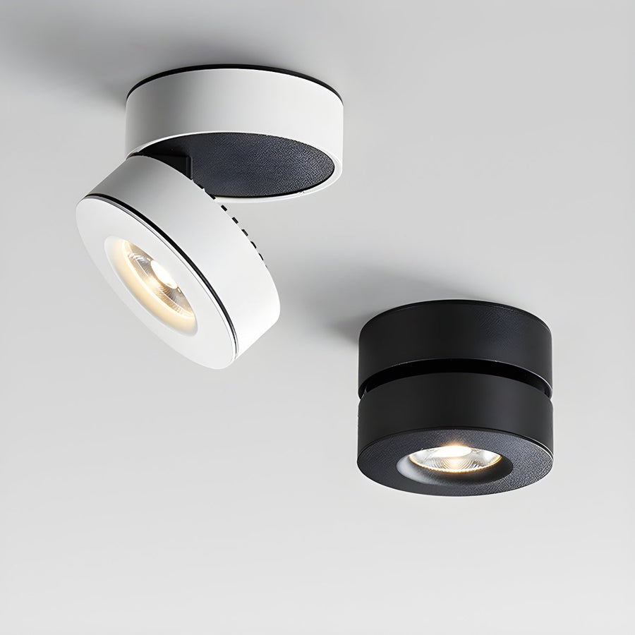 Lyric Adjustable Surface Downlight