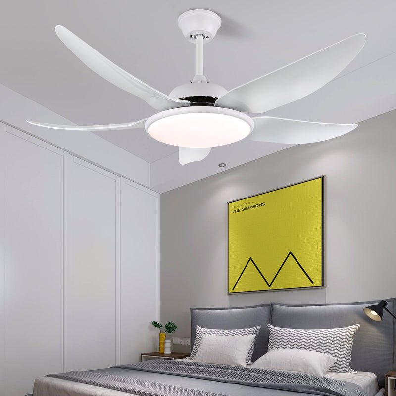 Noctura Ceiling Fan Light