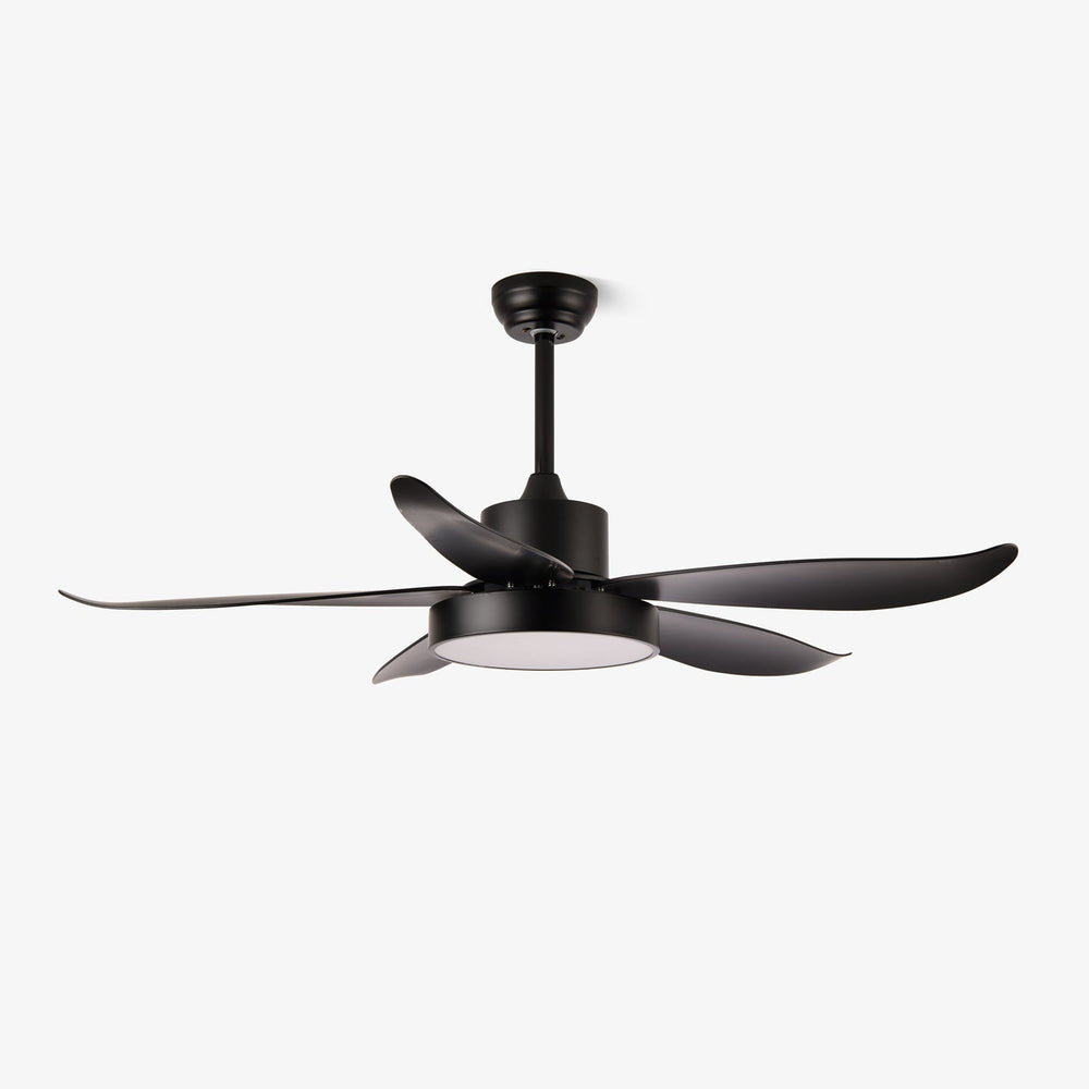 Noctura Glide Ceiling Fan Light