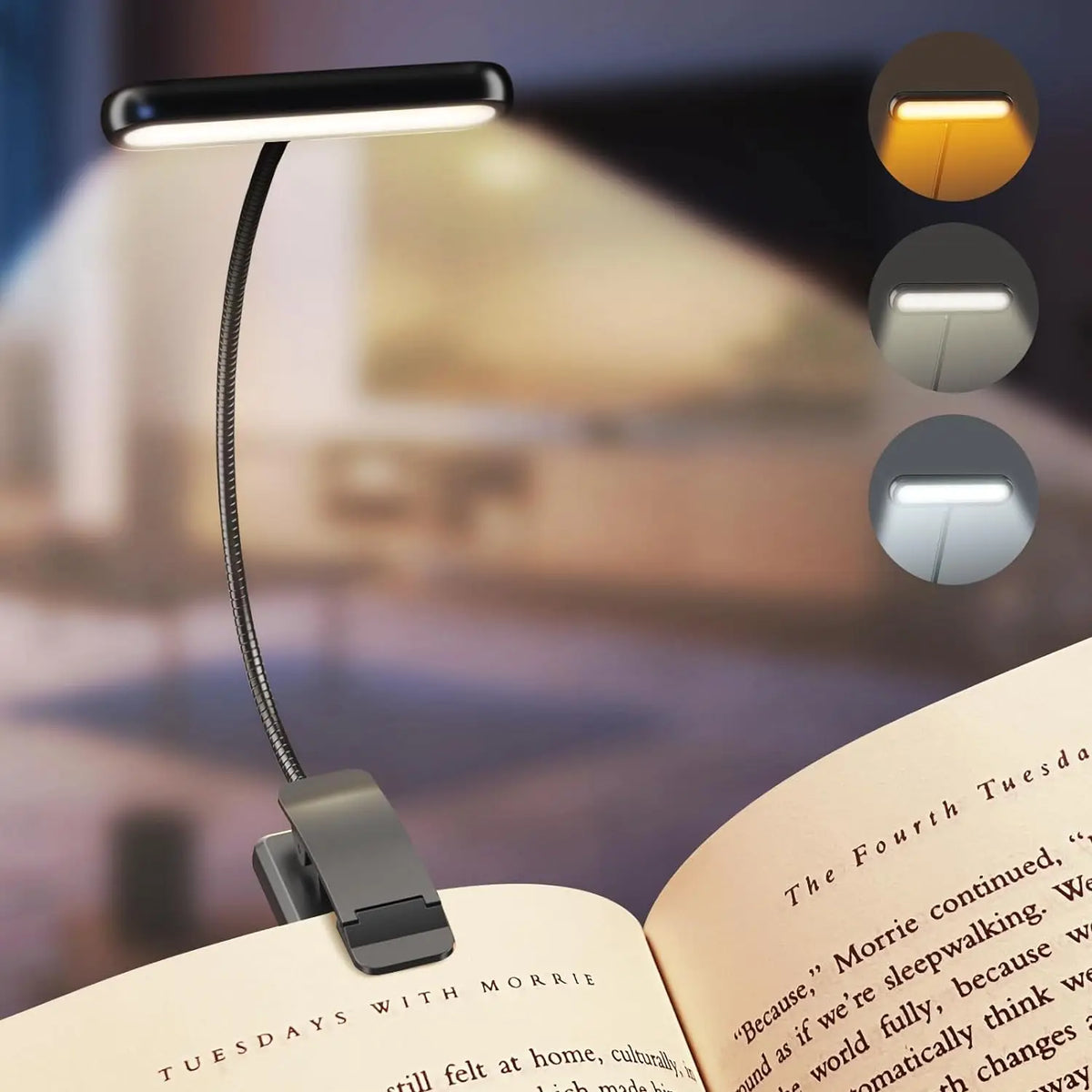 Sleepwyn Rechargeable Book Lamp