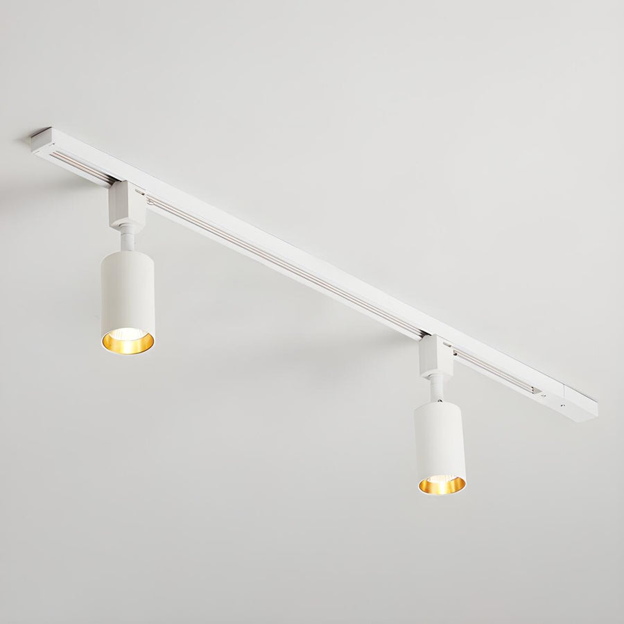 Black Tubular Track LED Semi-Flush Mount Light 5-Light