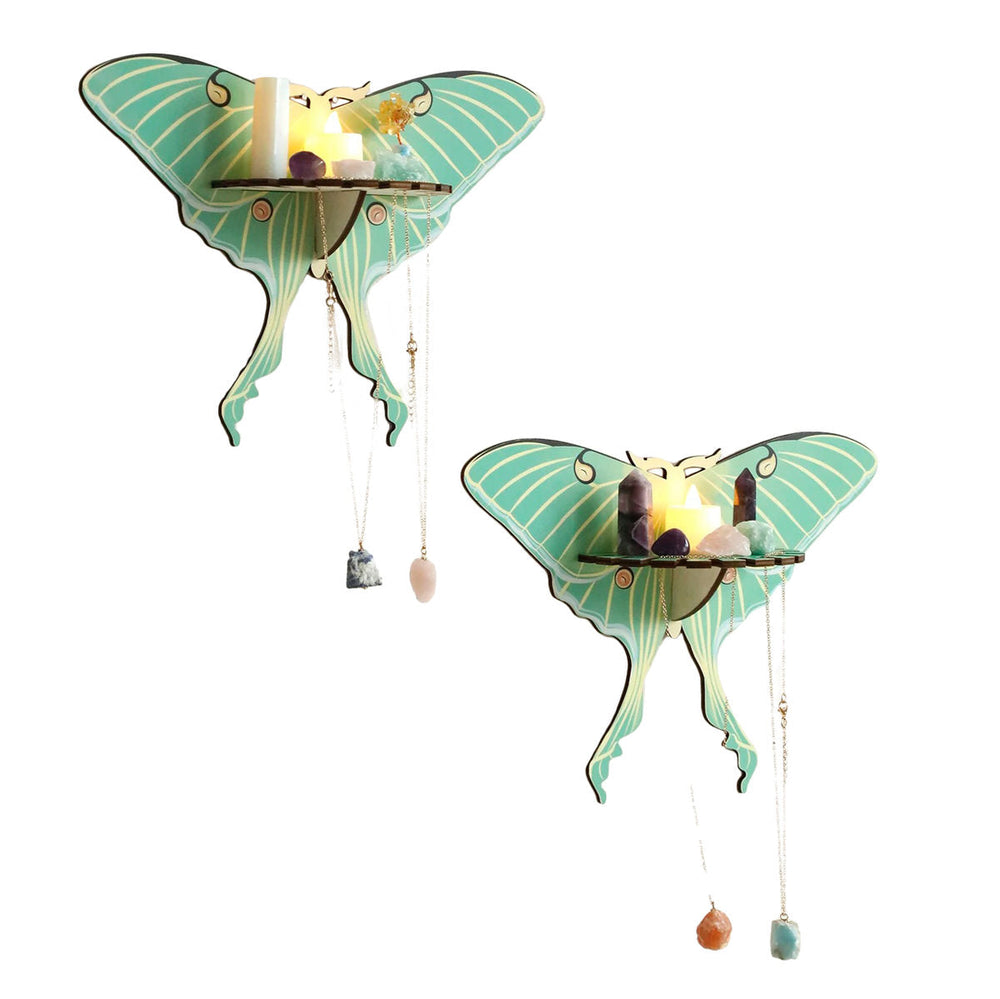 Luna Moth Wall Display Shelf