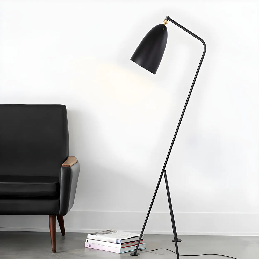Modern Simple Black Cone and Tripod Metal Floor Lamp