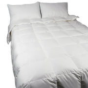 Oversize Plush Down Fiber Comforter All Season