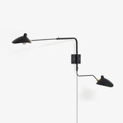 Versatile Arm Wall Sconce
