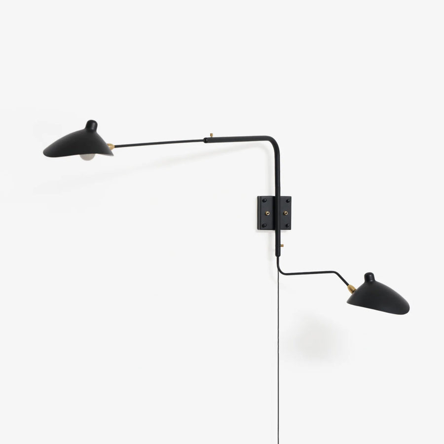 Versatile Arm Wall Sconce