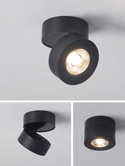Round Rotating LED Downlight