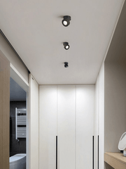 Round Rotating LED Downlight
