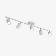 Evanna Ceiling Light
