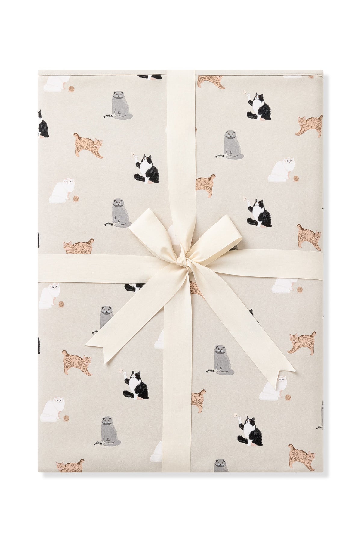 Throw Blanket in Fluffy Cat 1.0