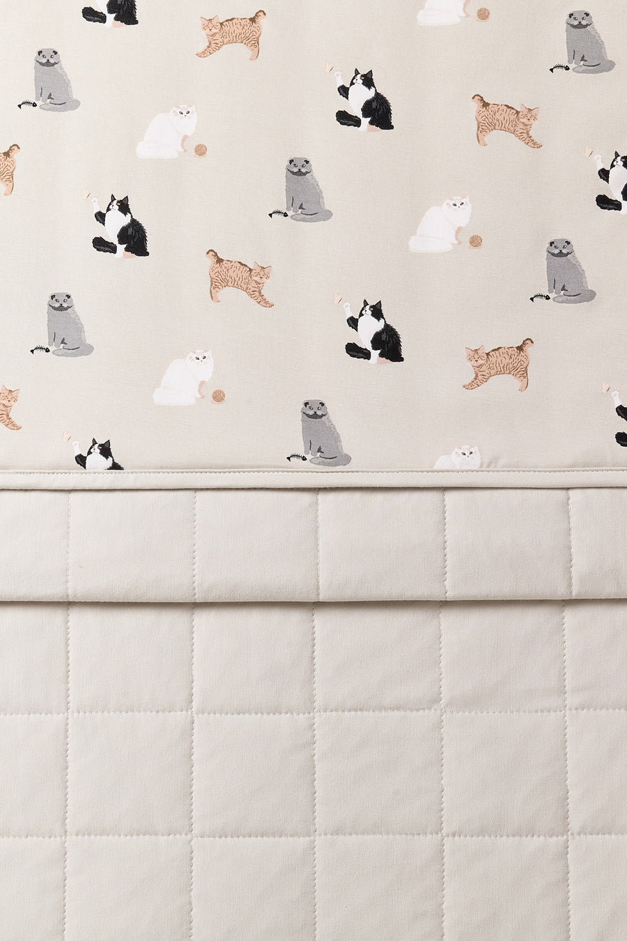 Throw Blanket in Fluffy Cat 1.0