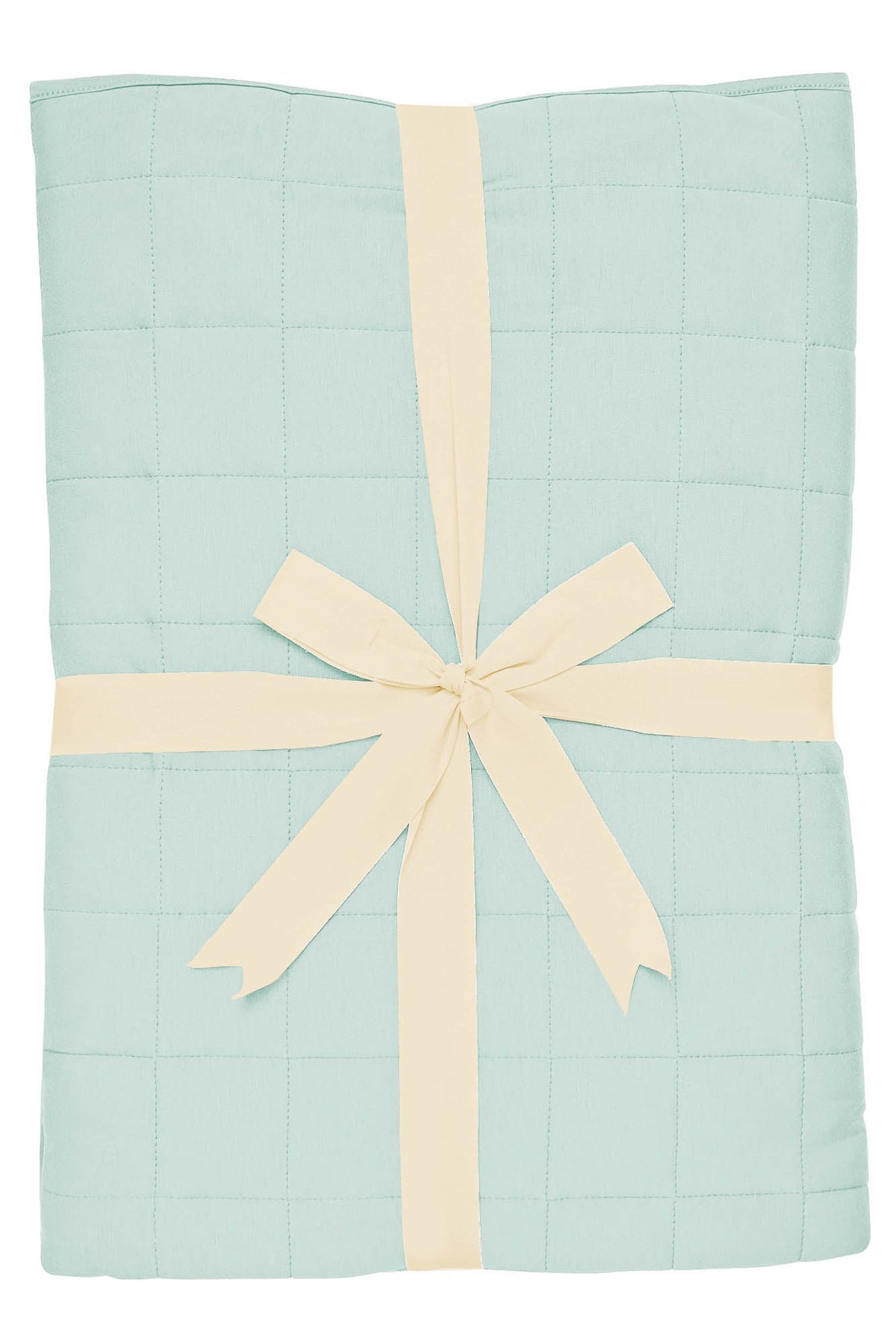 Throw Blanket in Sage 1.0