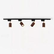Auric Track Light