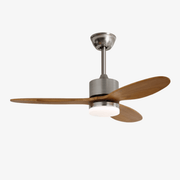 Polaris Ceiling Fan Light