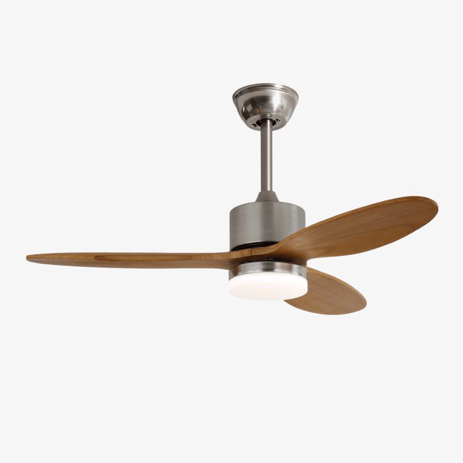 Polaris Ceiling Fan Light