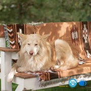 Sleepwyn Brown Reversible Woven Throw Blanket with Tassels
