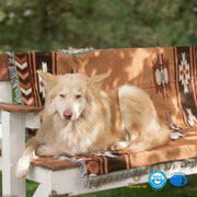 Sleepwyn Brown Aztec Reversible Woven Throw Blanket
