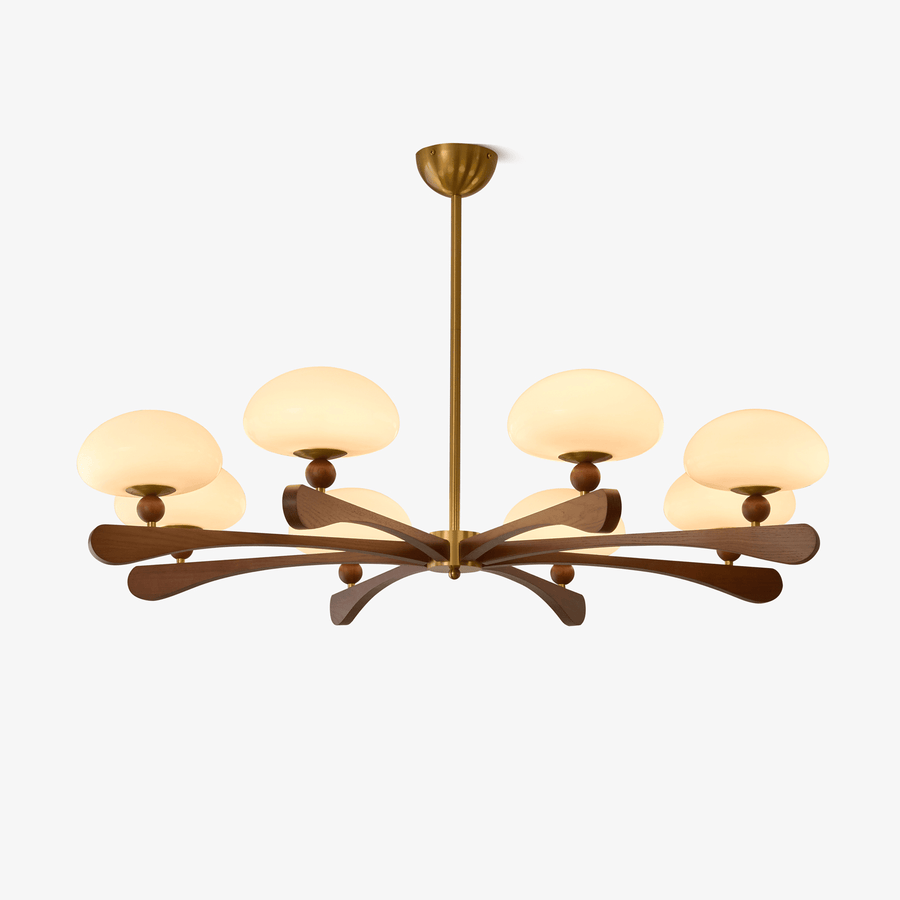 Evander Ray Chandelier