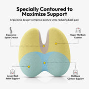 Sleepwyn Lumbar Pillow Chair