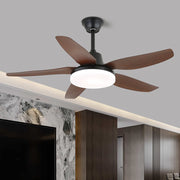 Aeroglow LED Ceiling Fan Light