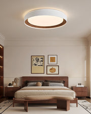 Arco Acrylic Ceiling Light