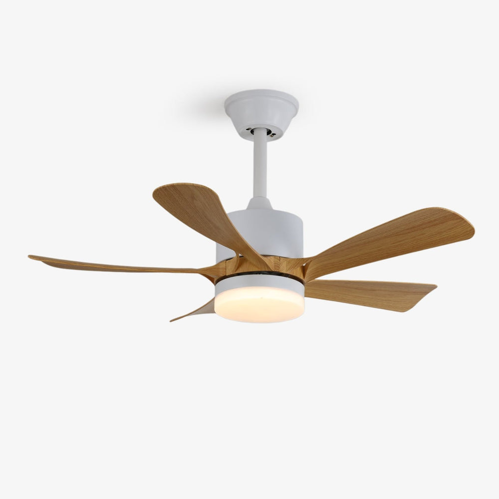 Avenli Ceiling Fan Light