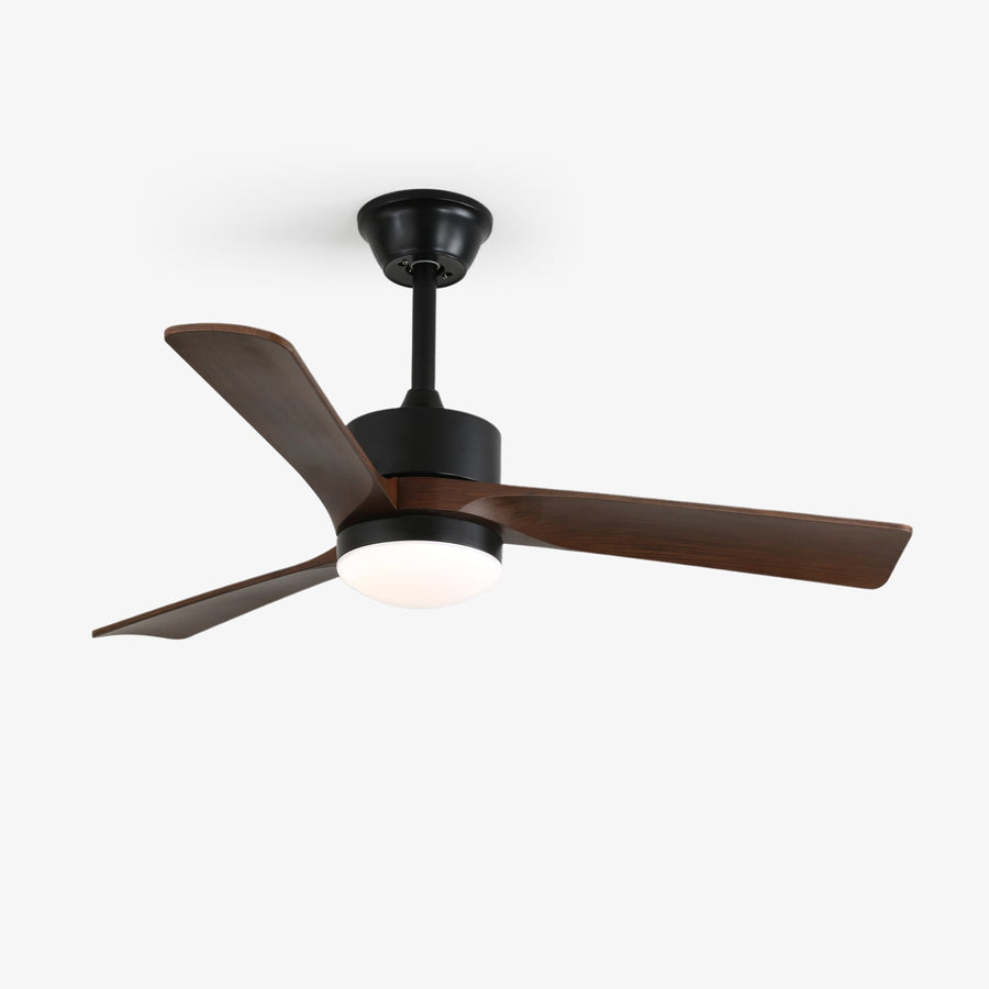 Averso Ceiling Fan Light