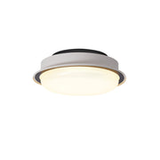 Caelan Ceiling Light
