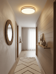 Cirro Ceiling Light