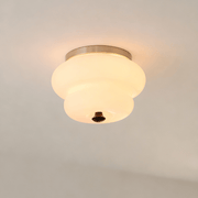 Curvaceous Ceiling Lamp