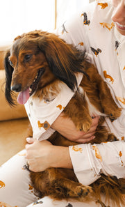 Dog Bandana in Dachshund