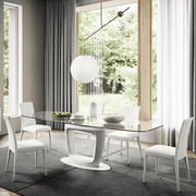 Equinox Balance Pendant Lamp