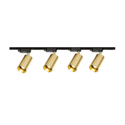 Gilded Rail Track Light