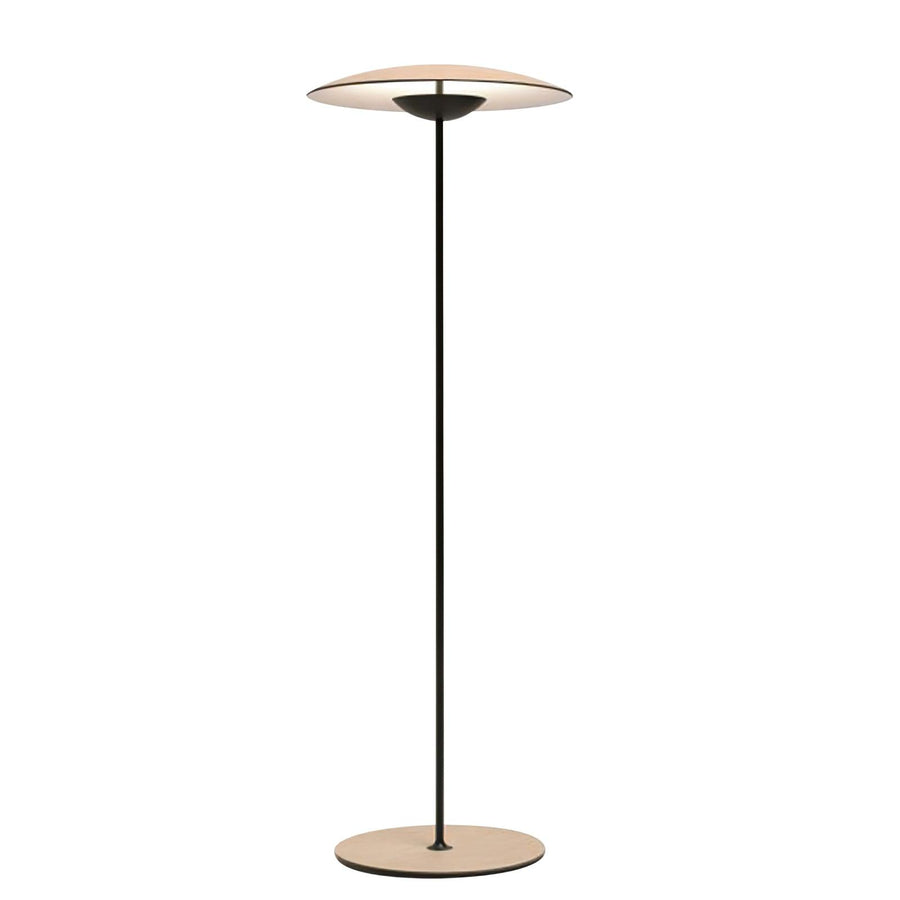 Innovative Directional Floor Lamp