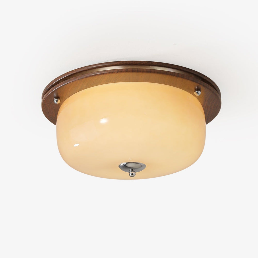 Glass Dome Ceiling Light