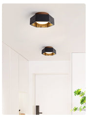 Hexarion Ceiling Lamp