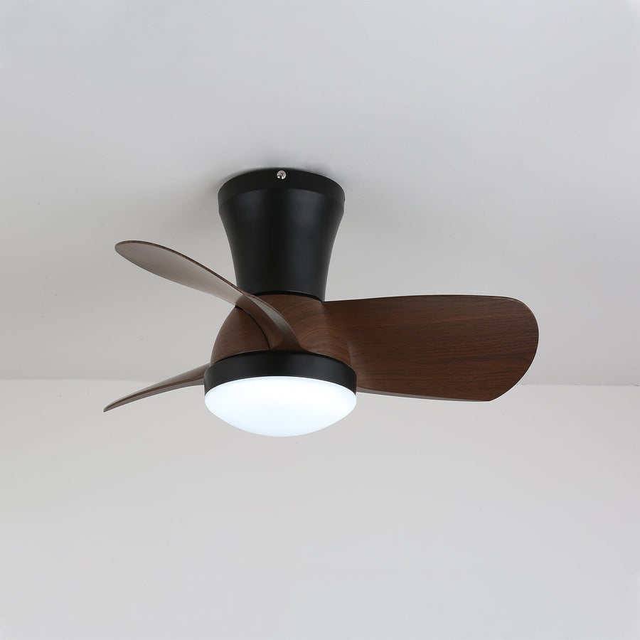 Miro Ceiling Fan Light