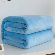 Sleepwyn Coral Fleece Soft Flannel Blanket