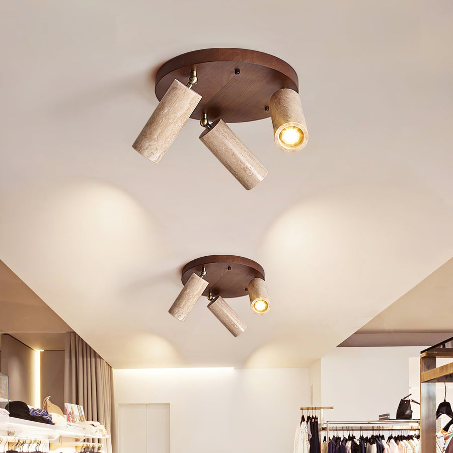 Terra Beam Ceiling Light