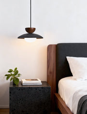Terra Cotta Pendant Lamp