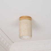 Terra Cylinder Ceiling Light